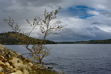 Similar image 21818981