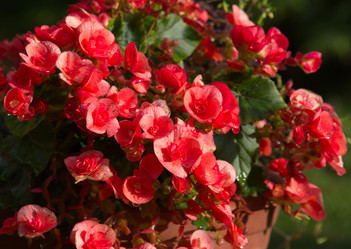 Similar image 21818986