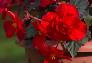 Similar image 21818988