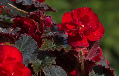 Similar image 21819467