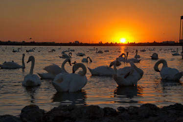 Similar image 21819483