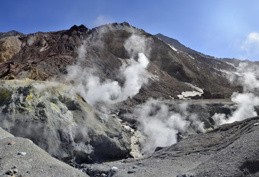 Similar image 21819500