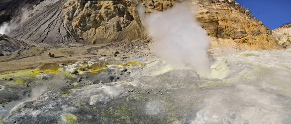 Similar image 21819504