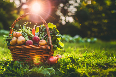 Similar image 21818871