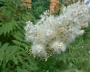Similar image 21817700