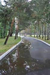 Similar image 21817702