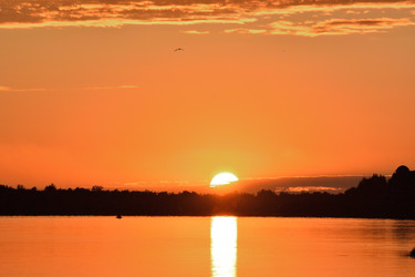 Similar image 21817709