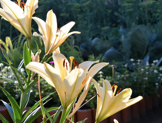 Similar image 21817717