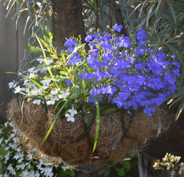 Similar image 21817718