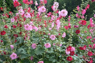 Similar image 21817724