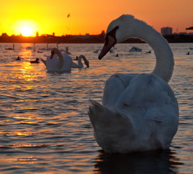 Similar image 21819531