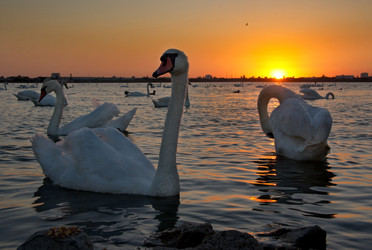 Similar image 21819532