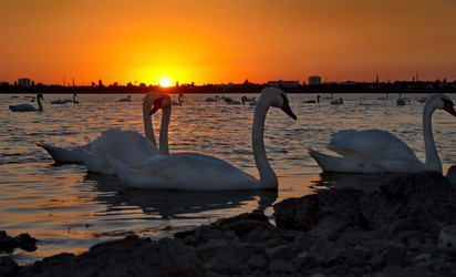 Similar image 21819533