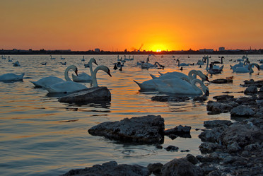 Similar image 21819535