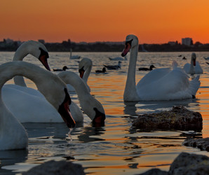 Similar image 21819537