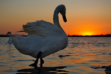 Similar image 21819538