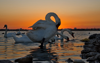 Similar image 21819539