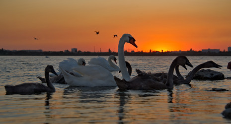 Similar image 21819540