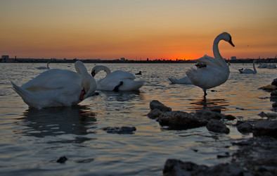 Similar image 21819541