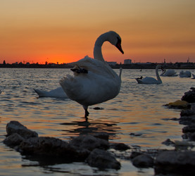 Similar image 21819542