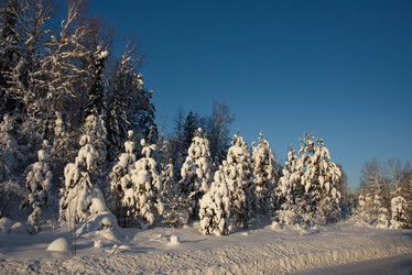 Similar image 21819544