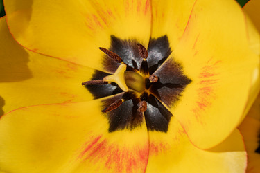 Similar image 21817877