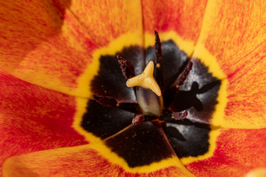 Similar image 21817879