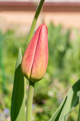 Similar image 21817881