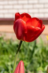 Similar image 21817882