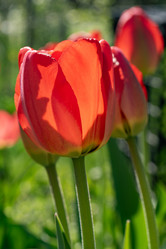 Similar image 21817883