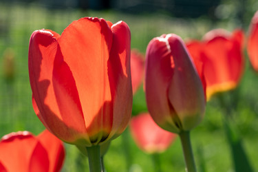 Similar image 21817886