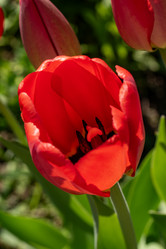 Similar image 21817887