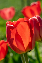 Similar image 21817888