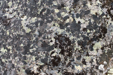 Similar image 21822632