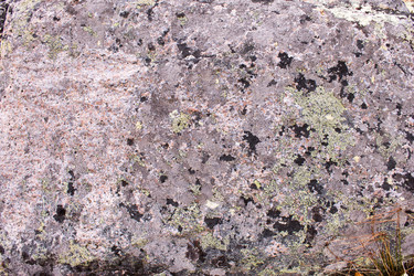 Similar image 21818166