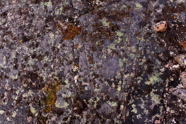 Similar image 21825461