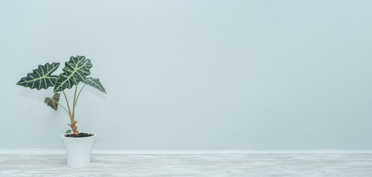 Similar image 21817991