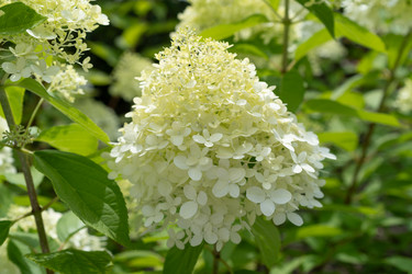 Similar image 21821678