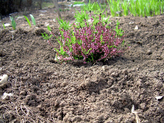 Similar image 21819005