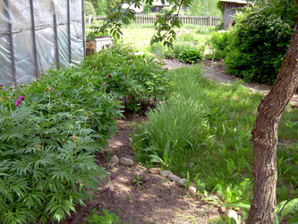 Similar image 21819006