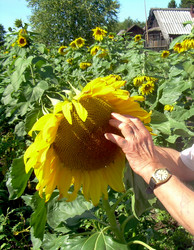 Similar image 21819009