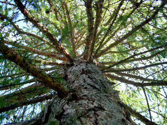 Similar image 21819017