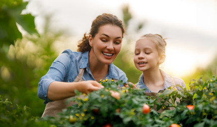 Similar image 21820751