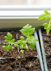 Similar image 21817993