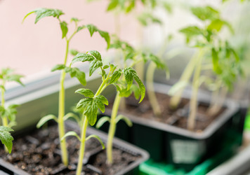 Similar image 21817994