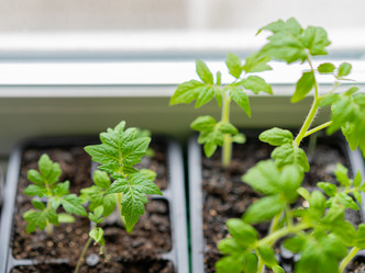 Similar image 21817995