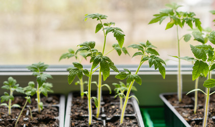 Similar image 21817996