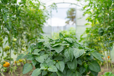 Similar image 21817997