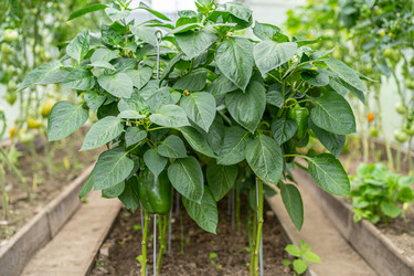 Similar image 21817998