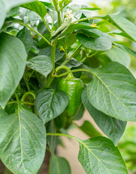 Similar image 21818001